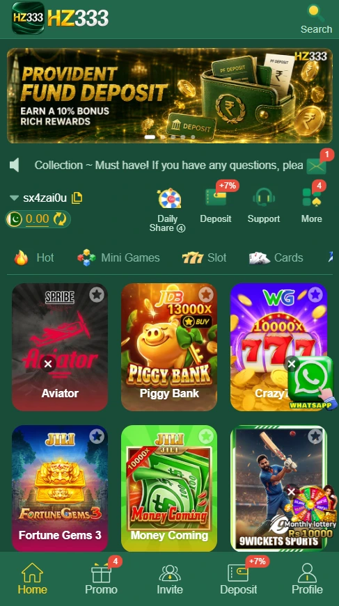 hz333 game Screenshot