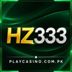 hz333 game official logo