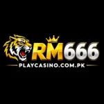 rm666 game official logo