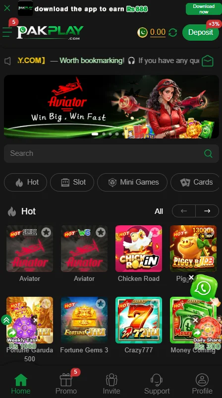 pakplay game Screenshot